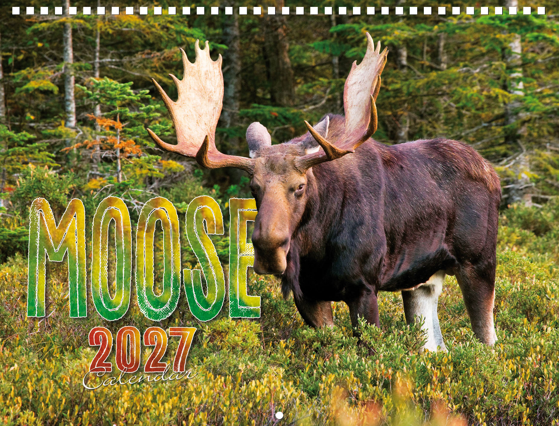 Moose Calendar