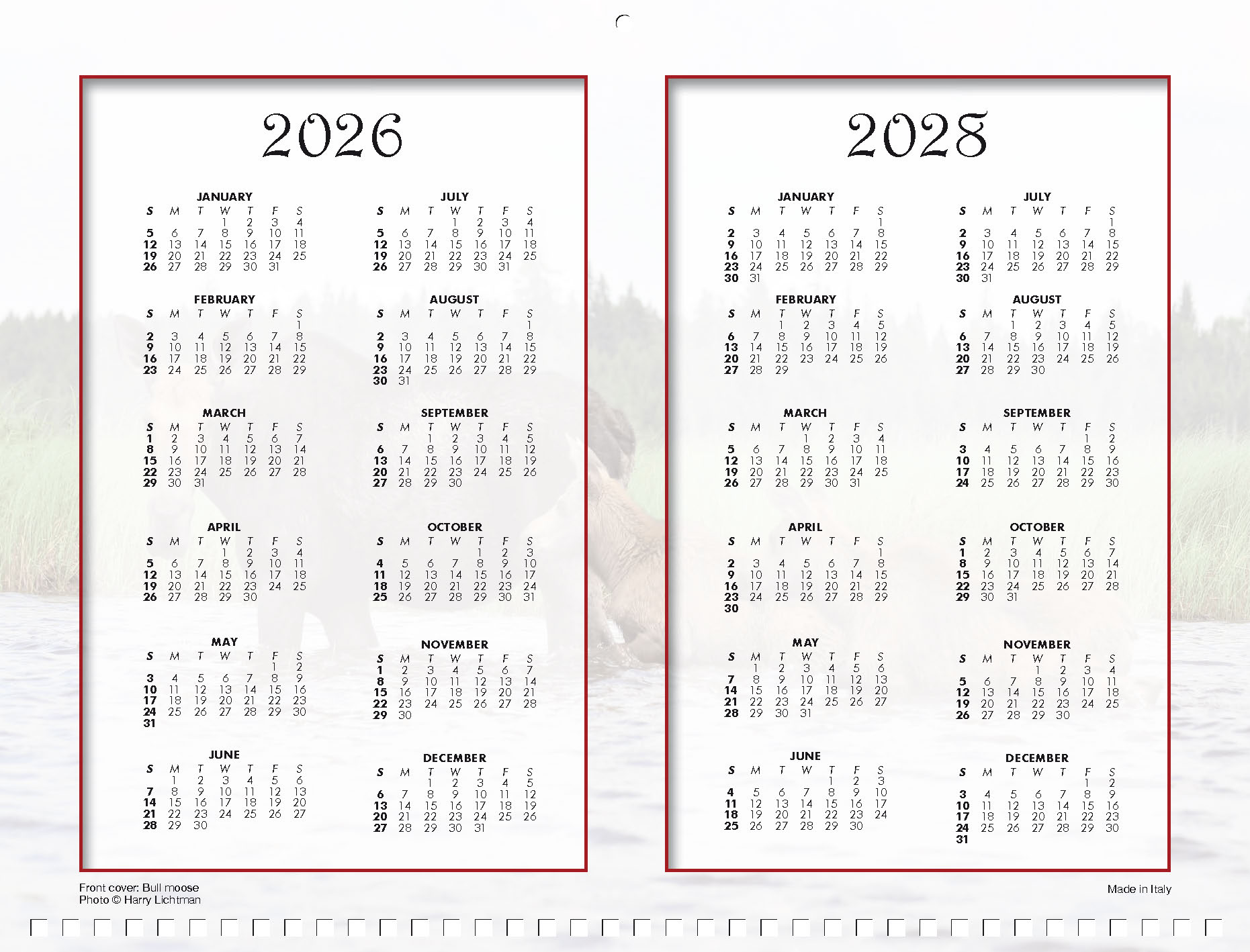 Moose Calendar - Image 17