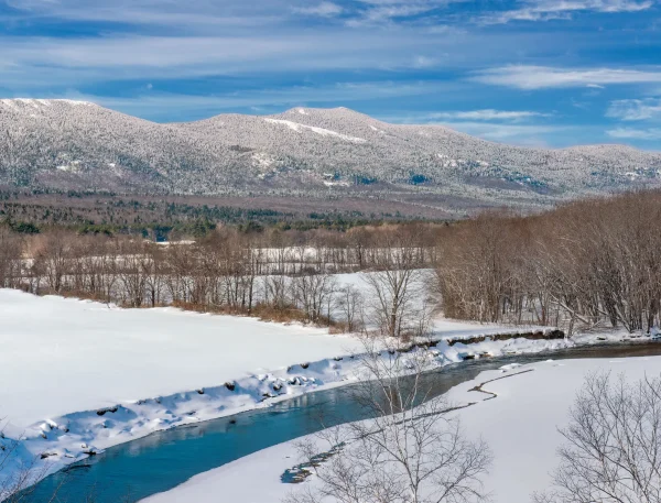 White Mountains - Image 7
