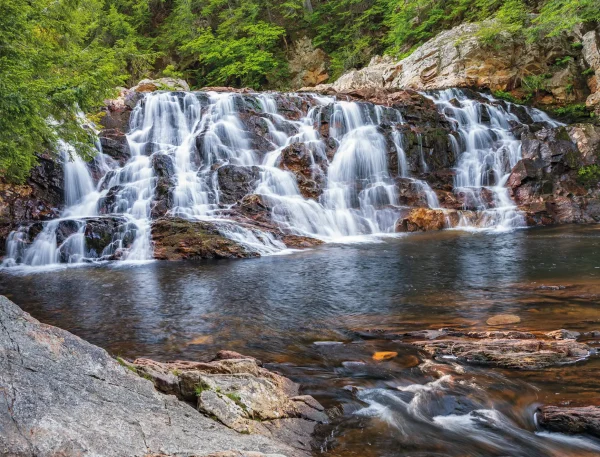 White Mountains - Image 8