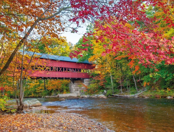 White Mountains - Image 12