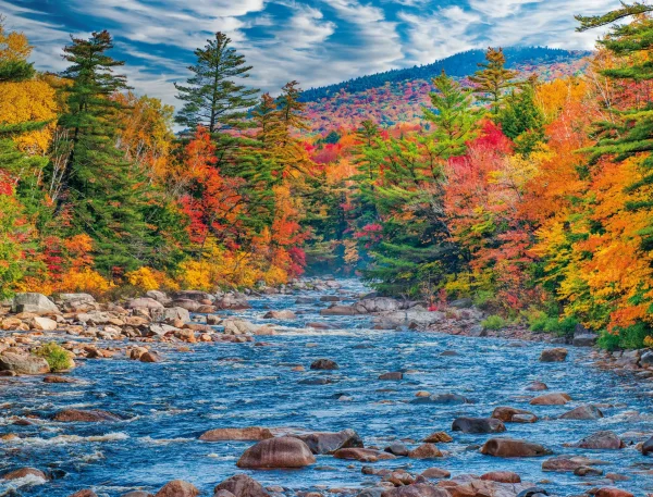 White Mountains - Image 14