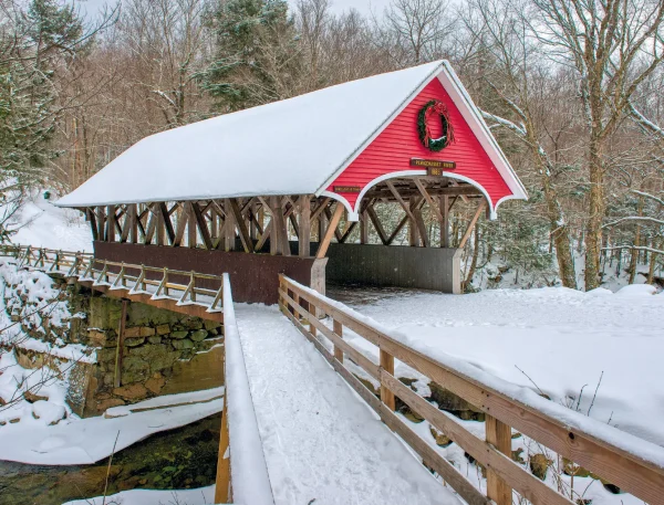 White Mountains - Image 16