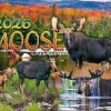 Moose Calendar