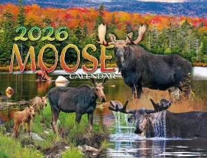 Moose Calendar