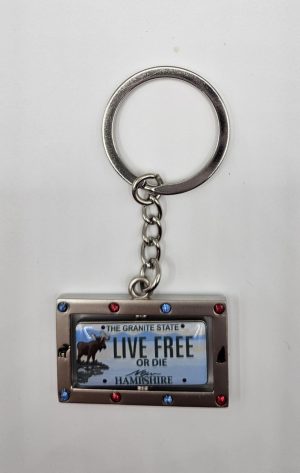 Spinner License Plate Keychain #928